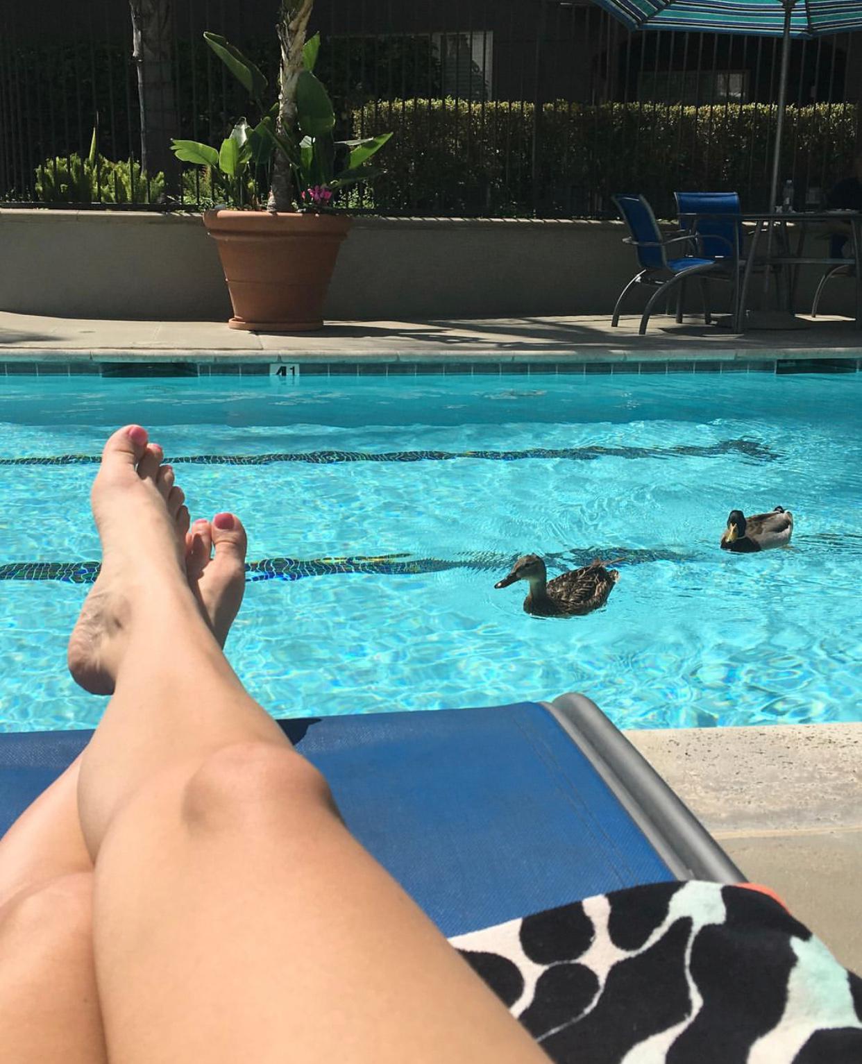 HOOKUP MAINLY👅👅💦💦