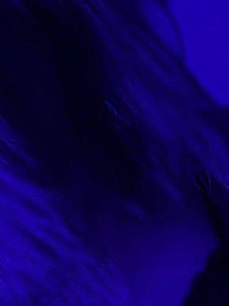 Fit, white, blonde Australian in Brisbane